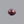 Load image into Gallery viewer, Indian Ruby - 7.85 Carat
