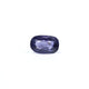 Iolite (Neeli) - 5.85 Carat - Pramogh