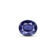 Iolite (Neeli) - 3 Carat - Pramogh