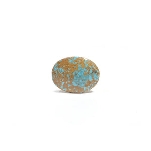 Nishapuri Irani Firoza - 25.65 Carat - Pramogh