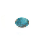 Nishapuri Irani Firoza - 15.95 Carat - Pramogh