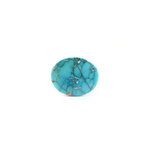 Nishapuri Irani Firoza - 24.85 Carat - Pramogh