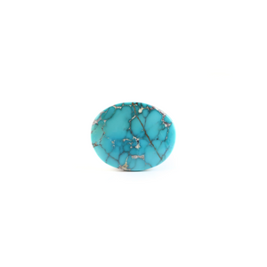 Nishapuri Irani Firoza - 24.85 Carat - Pramogh
