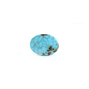Nishapuri Irani Firoza - 22.1 Carat - Pramogh