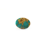 Nishapuri Irani Firoza - 11.9 Carat - Pramogh