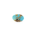 Nishapuri Irani Firoza - 5.65 Carat - Pramogh