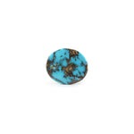 Nishapuri Irani Firoza - 8.1 Carat - Pramogh