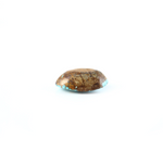 Irani Firoza - 11.1 Carat