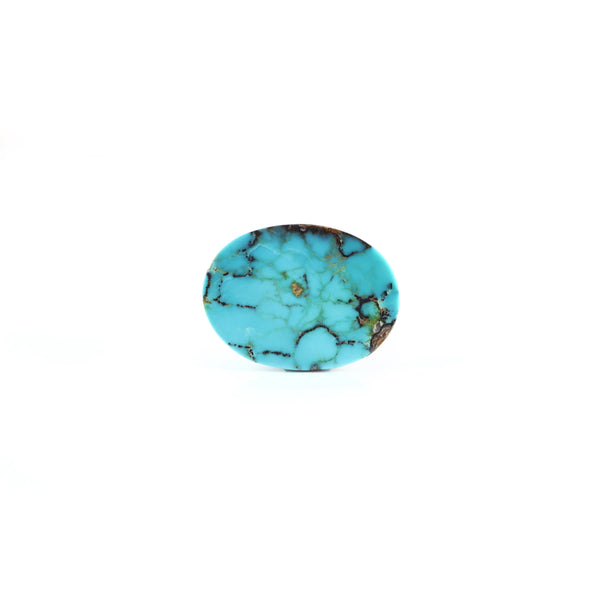 Nishapuri Irani Firoza - 10.55 Carat - Pramogh