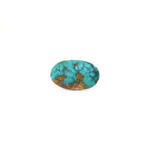 Nishapuri Irani Firoza - 8.25 Carat - Pramogh