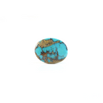 Nishapuri Irani Firoza - 10.4 Carat - Pramogh