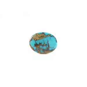 Nishapuri Irani Firoza - 10.4 Carat - Pramogh