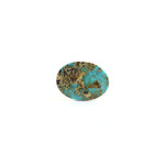 Nishapuri Irani Firoza - 7.8 Carat - Pramogh