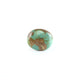 Nishapuri Irani Firoza - 8.55 Carat - Pramogh