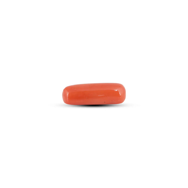 Red Coral - 3.6 Carat