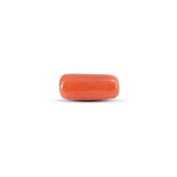 Red Coral - 3.6 Carat - Pramogh