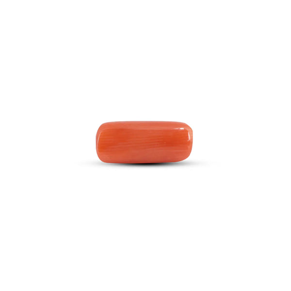 Red Coral - 3.6 Carat