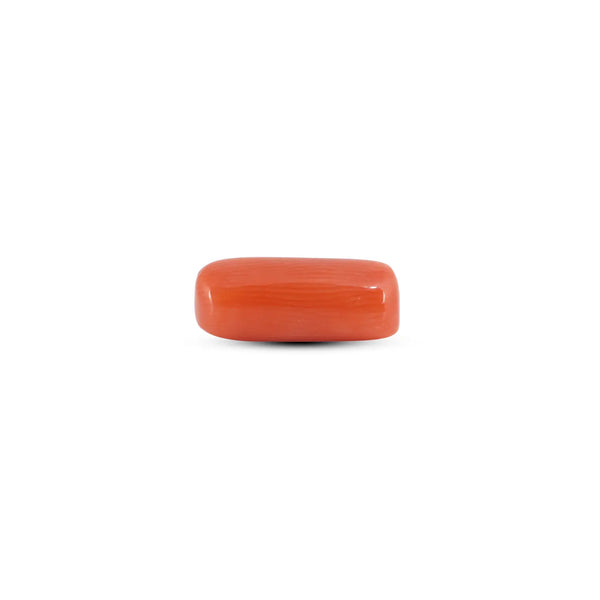 Red Coral - 3.6 Carat