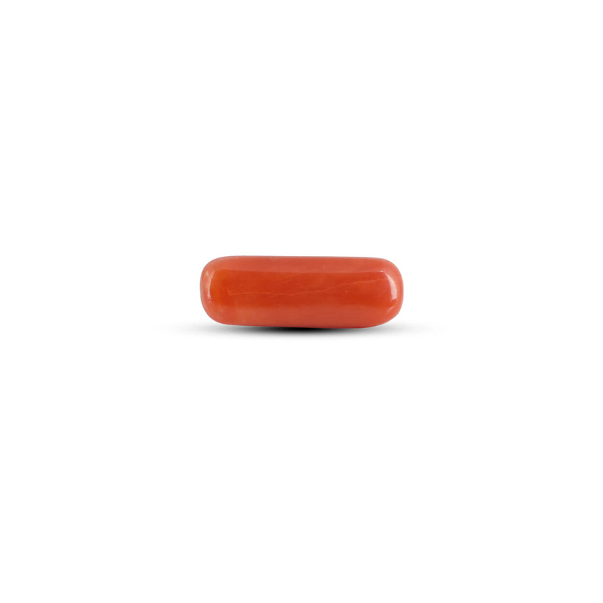 Red Coral - 3.85 Carat - Pramogh
