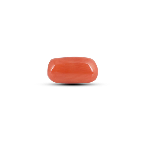 Red Coral - 3.05 Carat - Pramogh