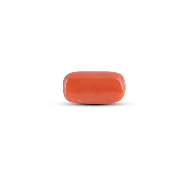 Red Coral - 3.05 Carat