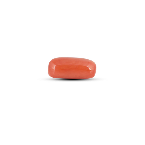 Red Coral - 3.05 Carat