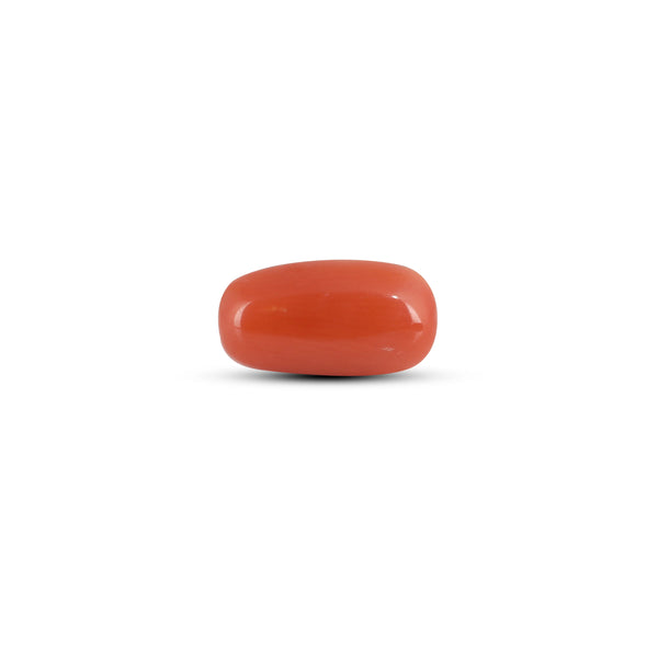 Red Coral - 2.88 Carat - Pramogh