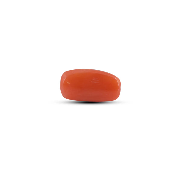 Red Coral - 2.88 Carat