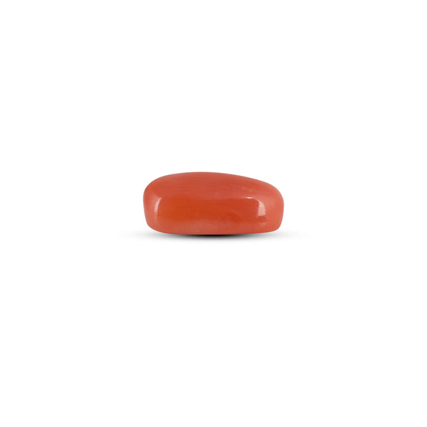 Red Coral - 2.88 Carat