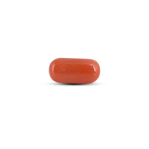Red Coral - 4.05 Carat - Pramogh