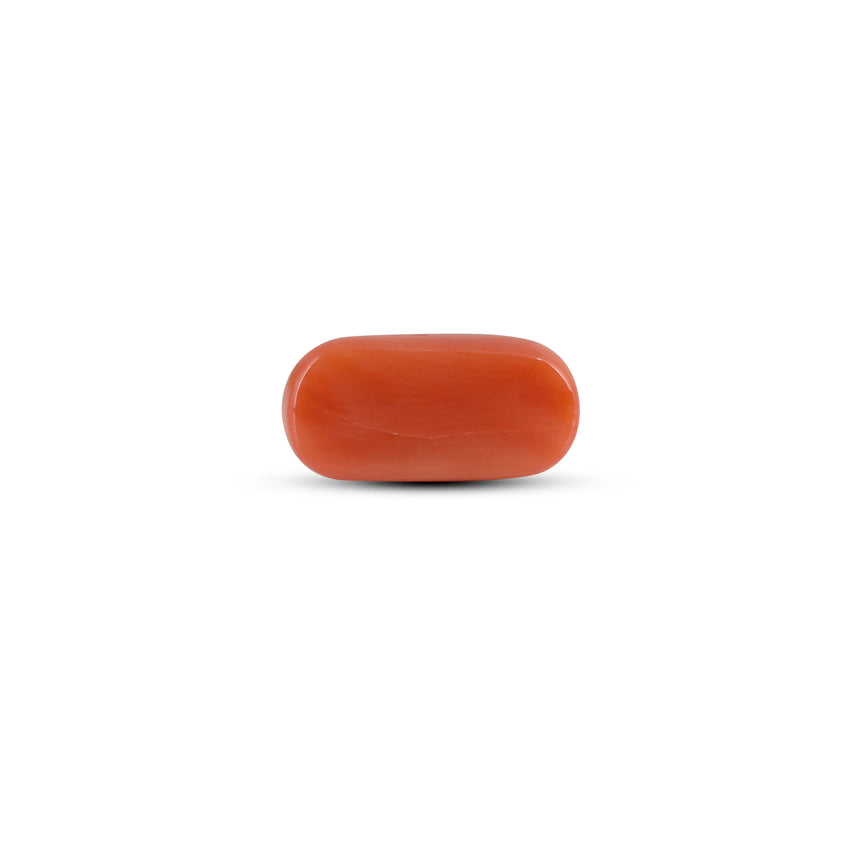 Red Coral - 4.05 Carat - Pramogh