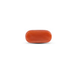 Red Coral - 4.05 Carat - Pramogh
