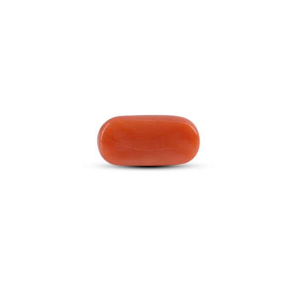 Red Coral - 4.05 Carat - Pramogh