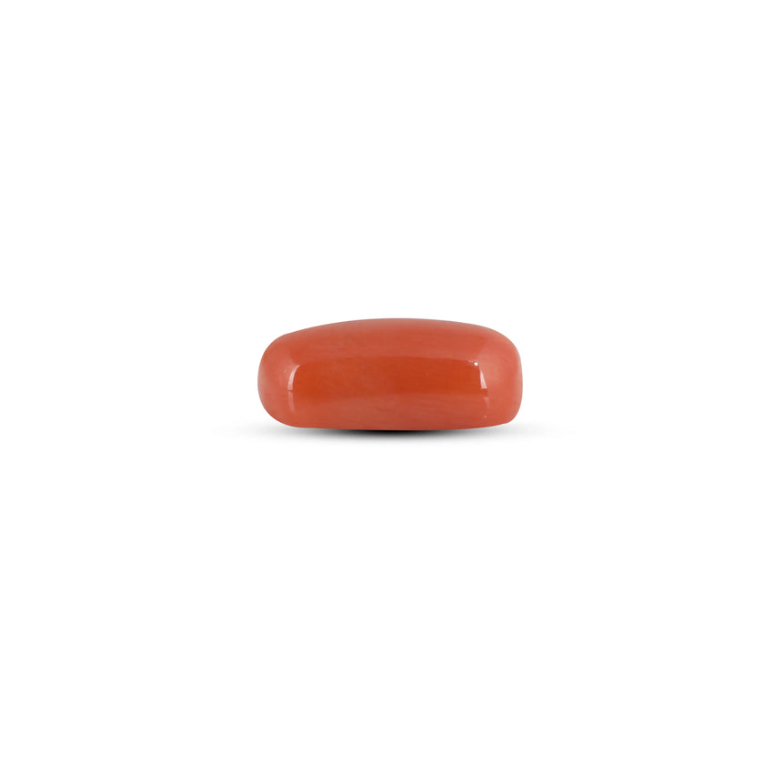 Red Coral - 4.05 Carat - Pramogh