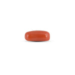 Red Coral - 4.05 Carat - Pramogh