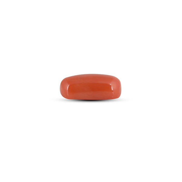 Red Coral - 4.05 Carat - Pramogh