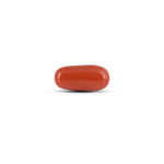 Red Coral - 4.1 Carat - Pramogh