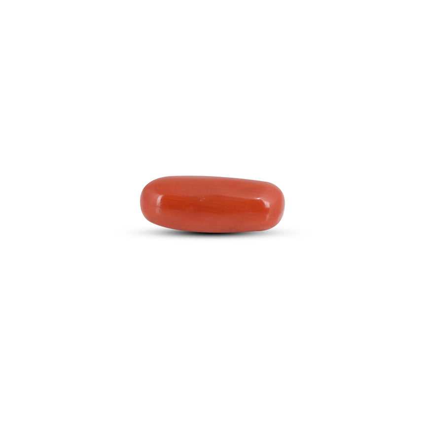 Red Coral - 4.1 Carat - Pramogh