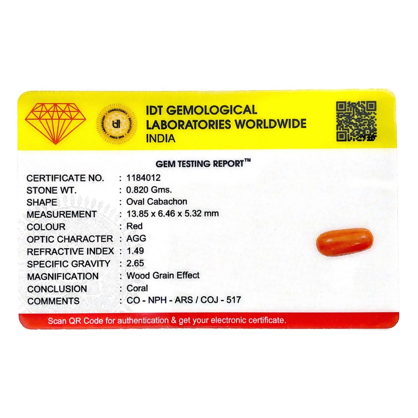 Red Coral - 4.1 Carat - Pramogh
