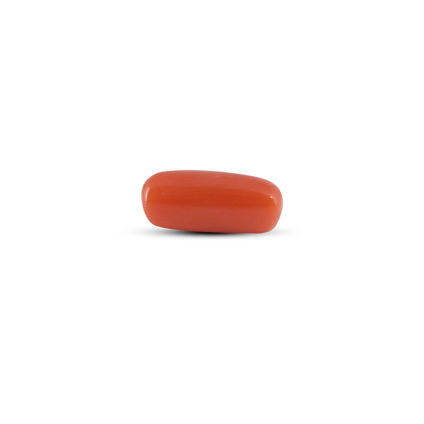 Red Coral - 4.12 Carat - Pramogh