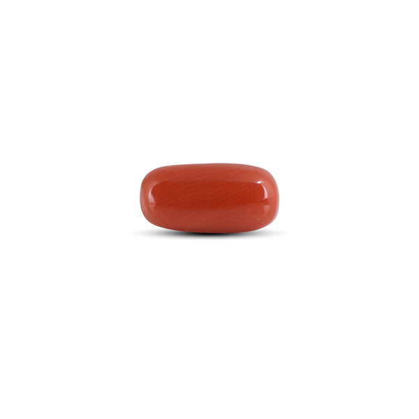 Red Coral - 2.8 Carat - Pramogh