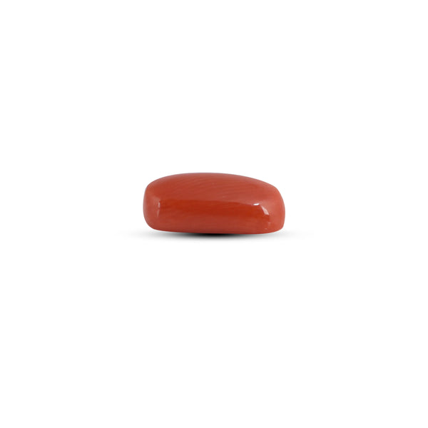 Red Coral - 2.8 Carat