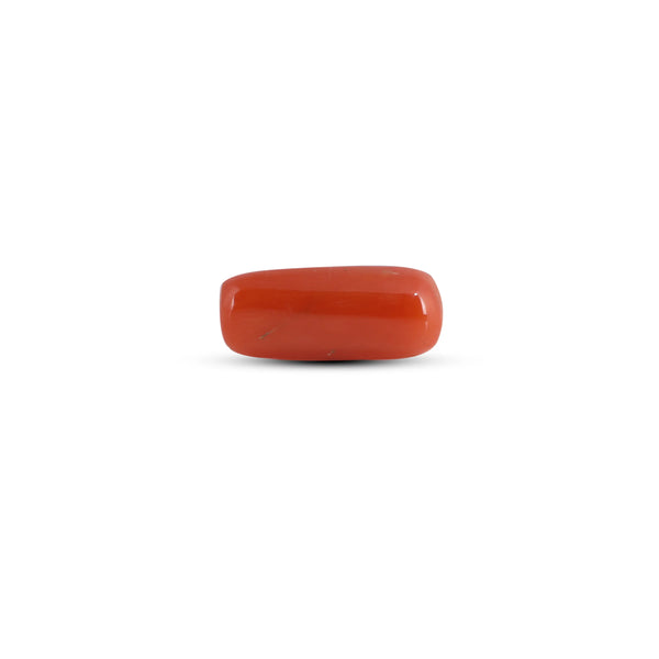 Red Coral - 3.1 Carat - Pramogh