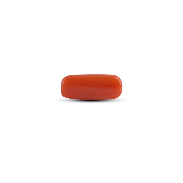 Red Coral - 3.1 Carat