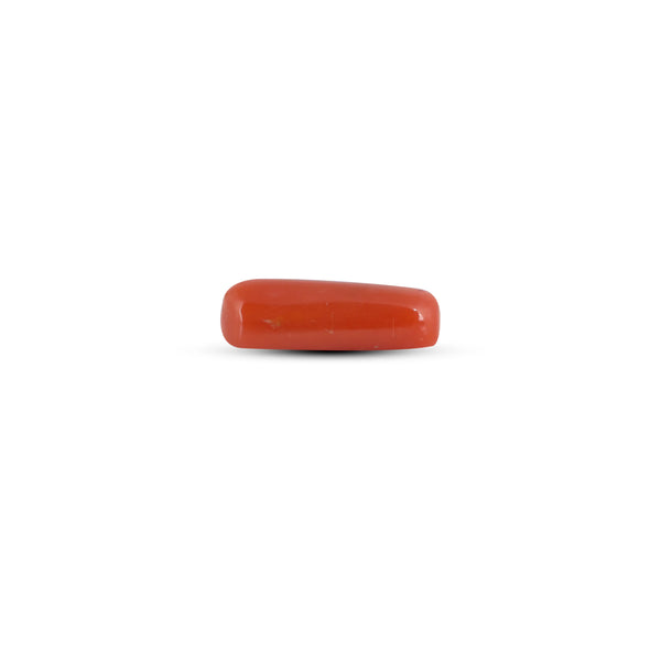 Red Coral - 3.1 Carat