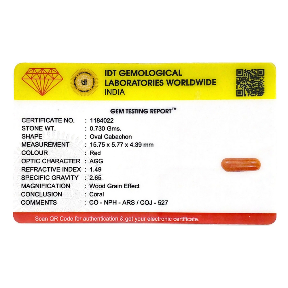 Red Coral - 3.65 Carat - Pramogh