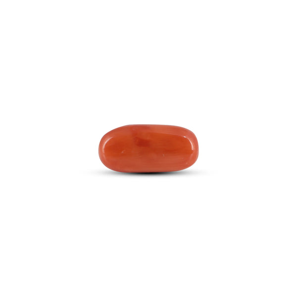 Red Coral - 3.9 Carat - Pramogh