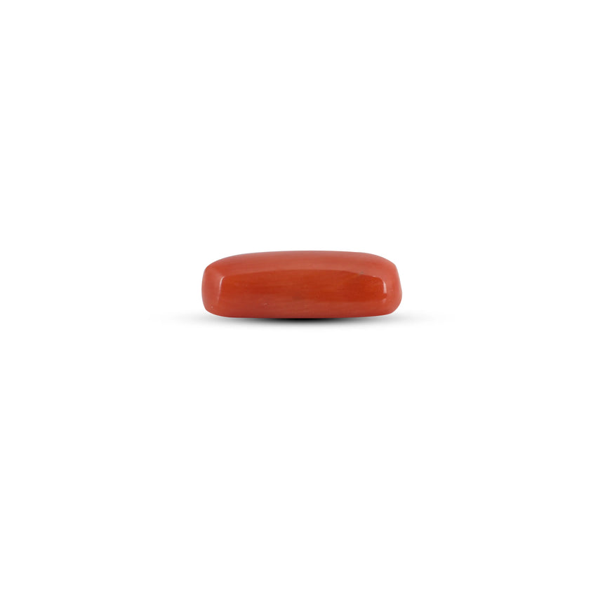 Red Coral - 3.65 Carat - Pramogh