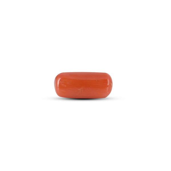 Red Coral - 3.8 Carat - Pramogh