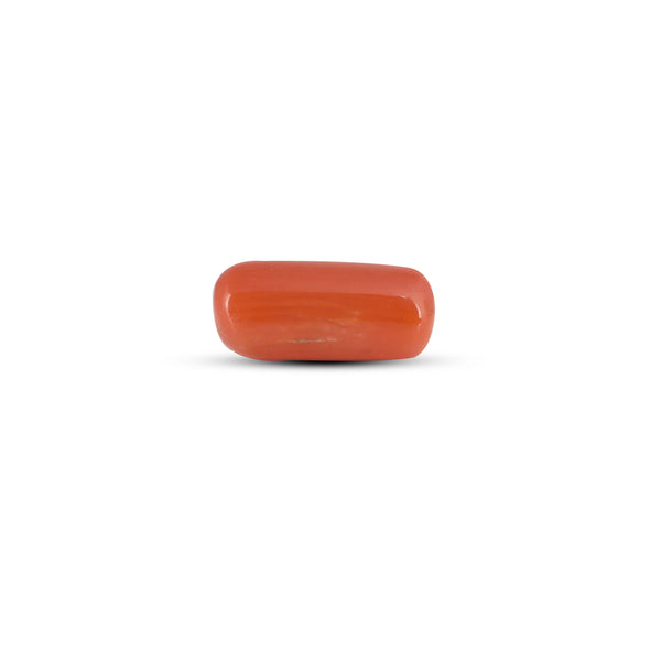 Red Coral - 3.8 Carat